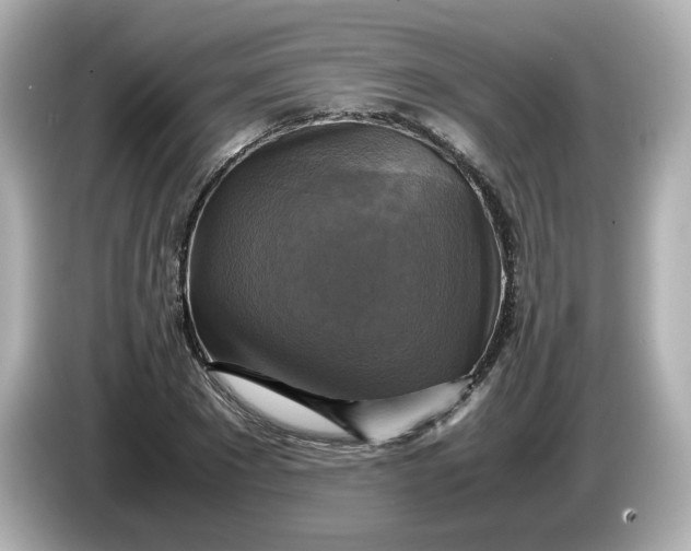X0000086010881200704091053