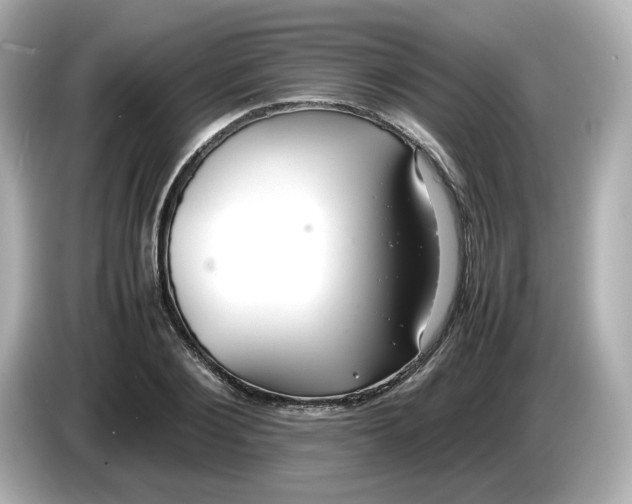 X0000086010884200704091053