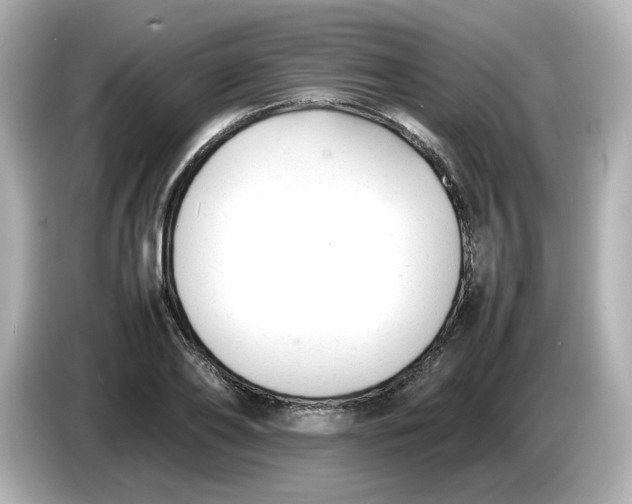 X0000086010886200704091053