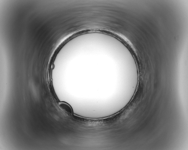 X0000086010887200704091053