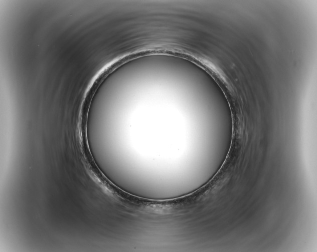 X0000086010888200704091053