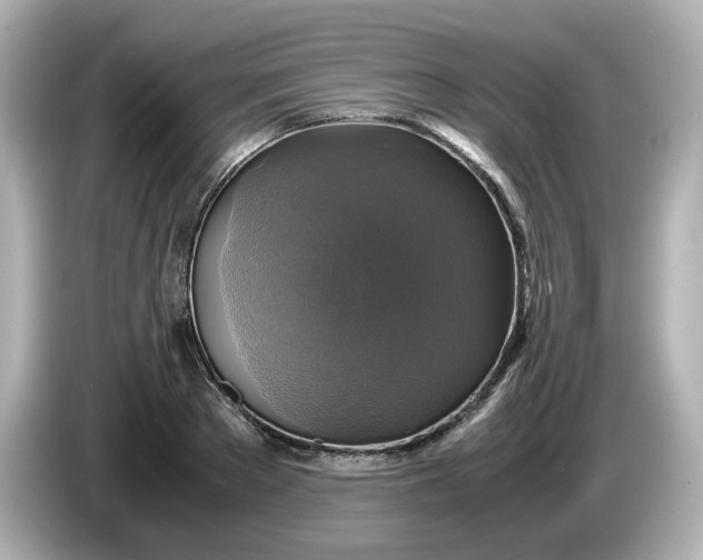 X0000086010889200704091053