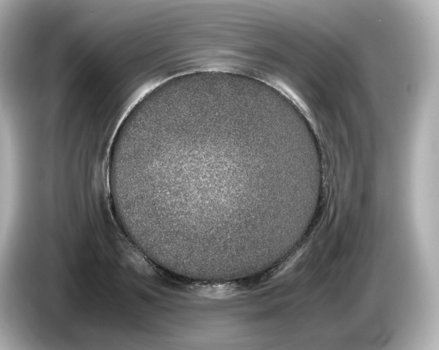 X0000086010891200704091053