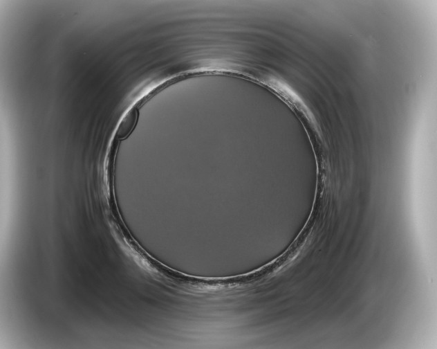 X0000086010892200704091053