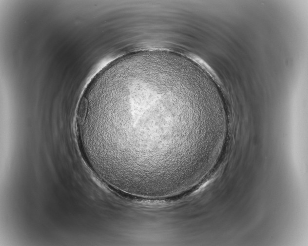 X0000086010893200704091053