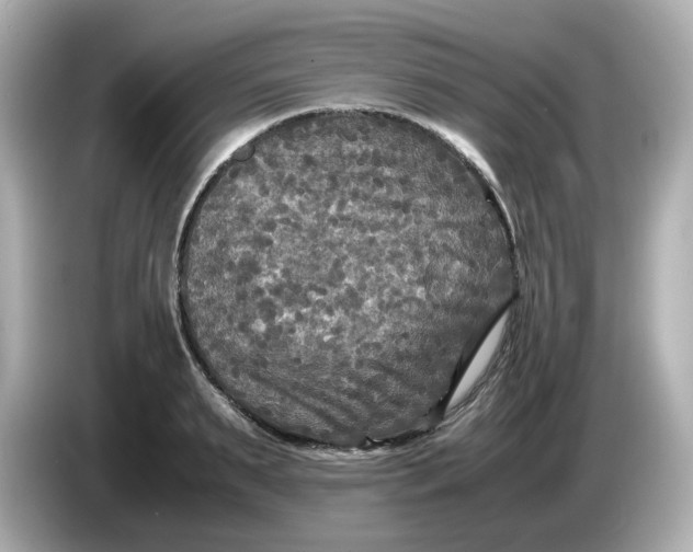 X0000086010895200704091053