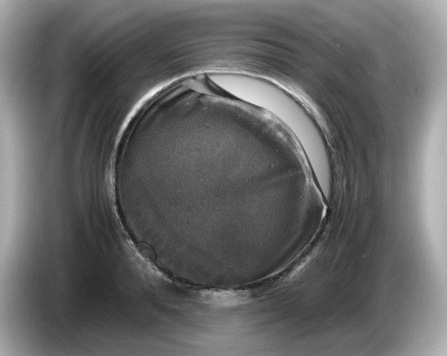 X0000086010896200704091053