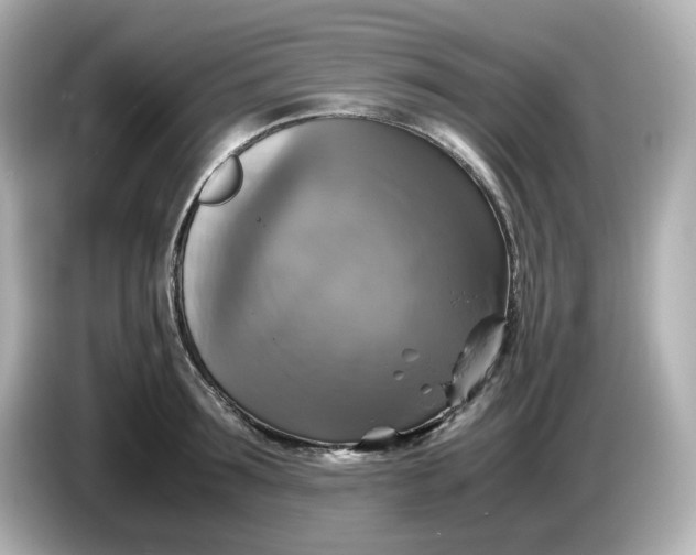 X0000086010899200704091053