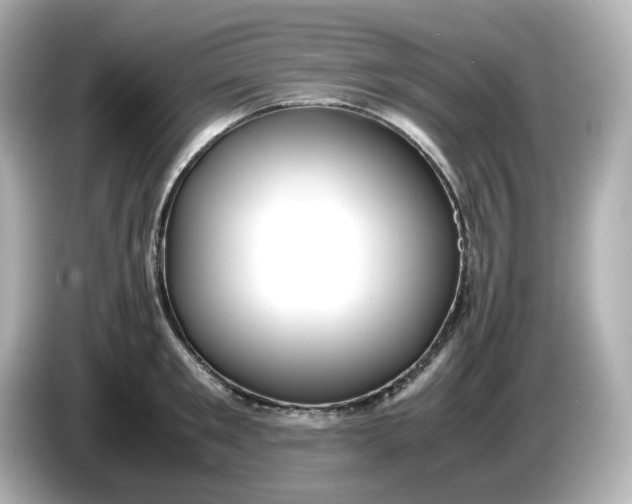 X0000086010901200704091053