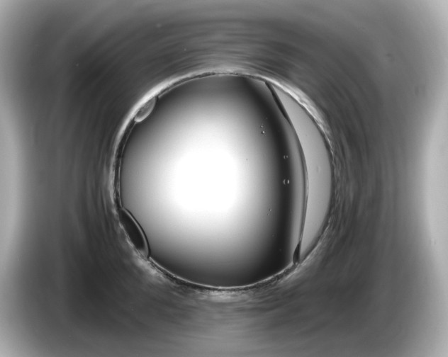 X0000086010904200704091053