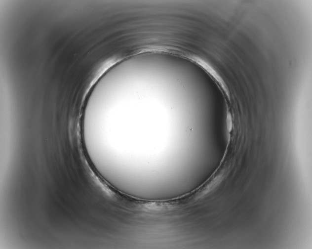 X0000086010906200704091053