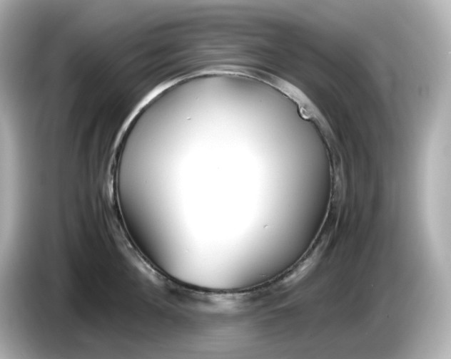 X0000086010908200704091053