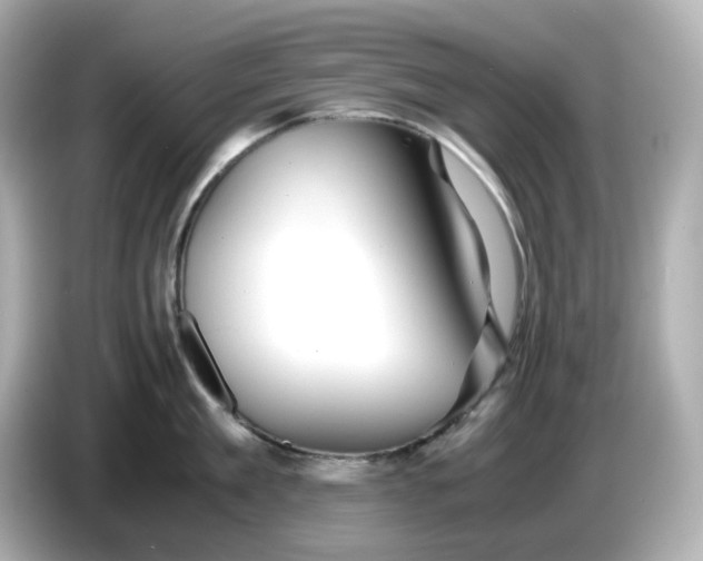 X0000086010909200704091053