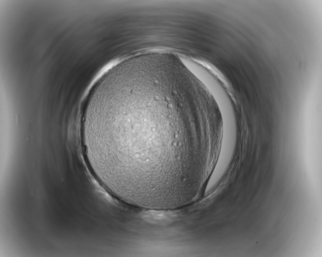 X0000086010910200704091053