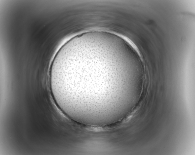 X0000086010911200704091053