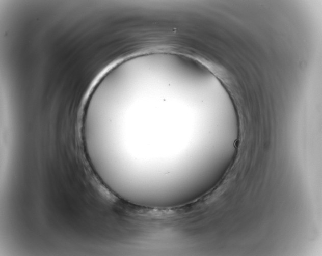 X0000086010912200704091053