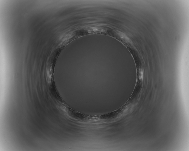 X0000086010915200704091053