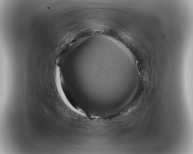 X0000086010916200704091053