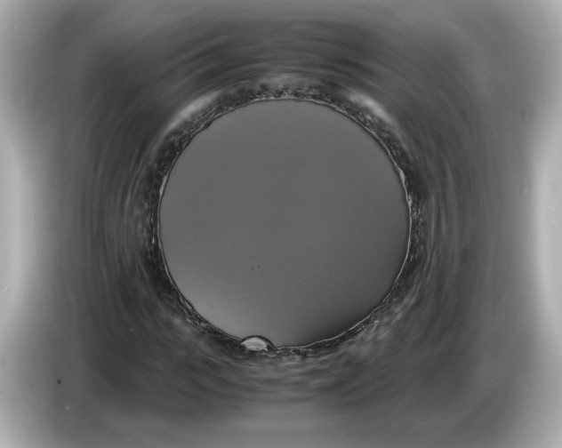 X0000086010919200704091053