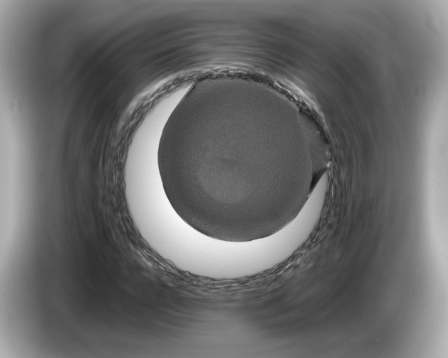 X0000086010920200704091053