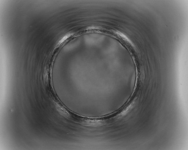 X0000086010921200704091053