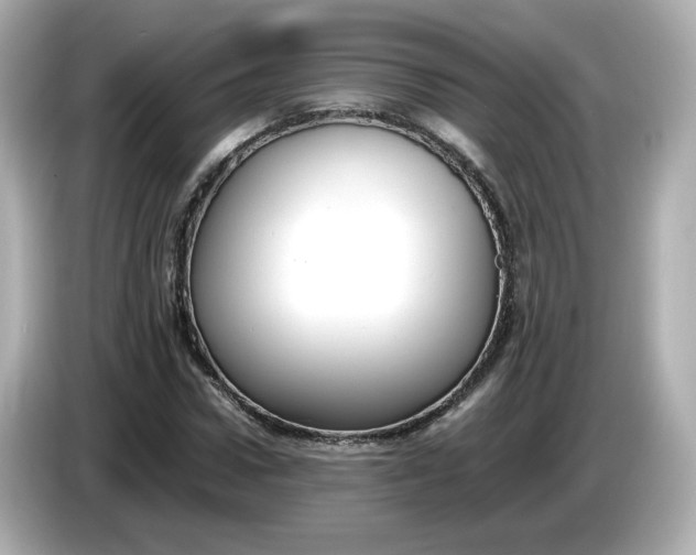 X0000086010922200704091053