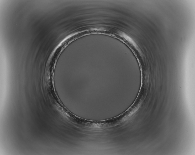 X0000086010923200704091053