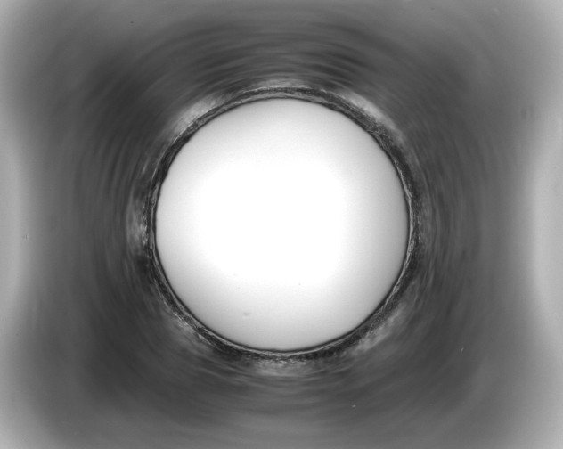 X0000086010929200704091053