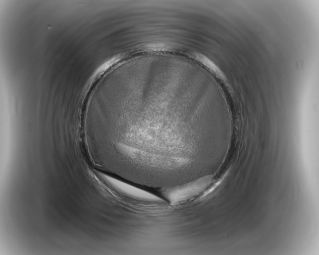 X0000086010930200704091053