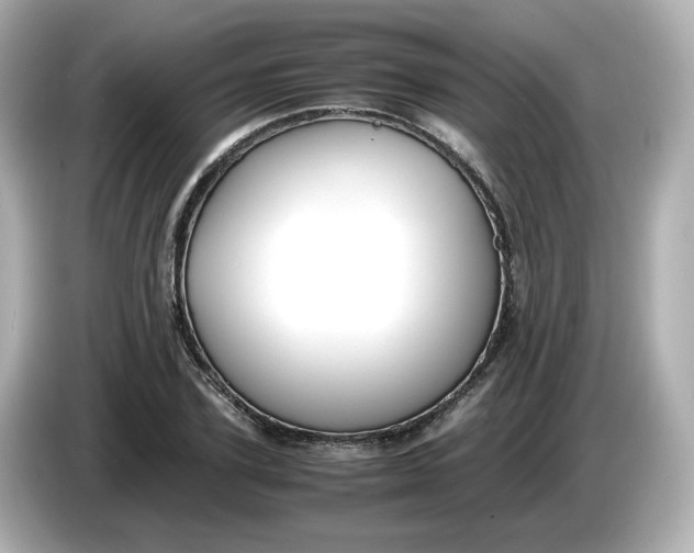 X0000086010931200704091053