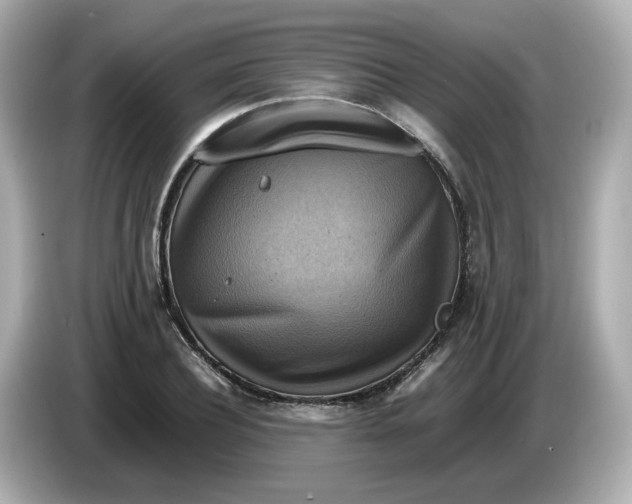 X0000086010932200704091053