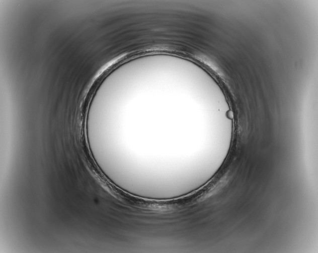 X0000086010933200704091053