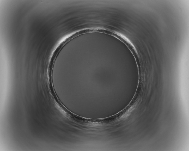 X0000086010935200704091053