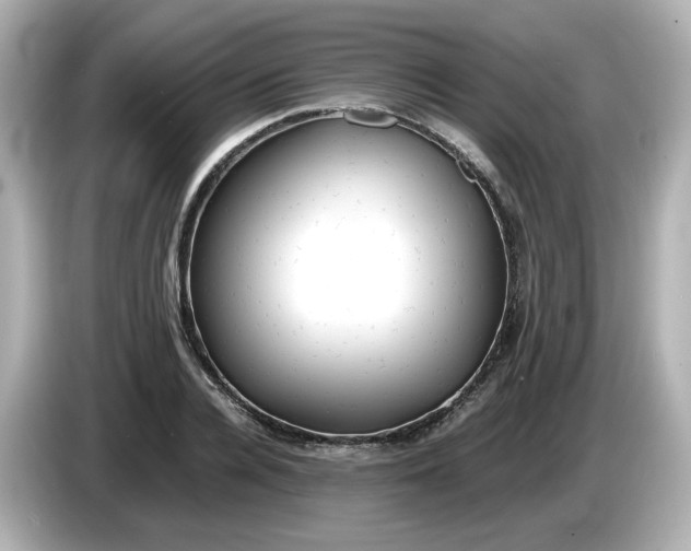 X0000086010936200704091053