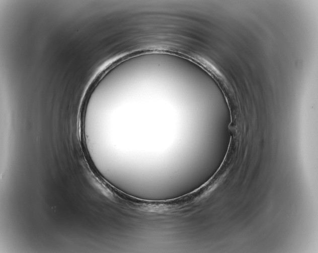 X0000086010940200704091053