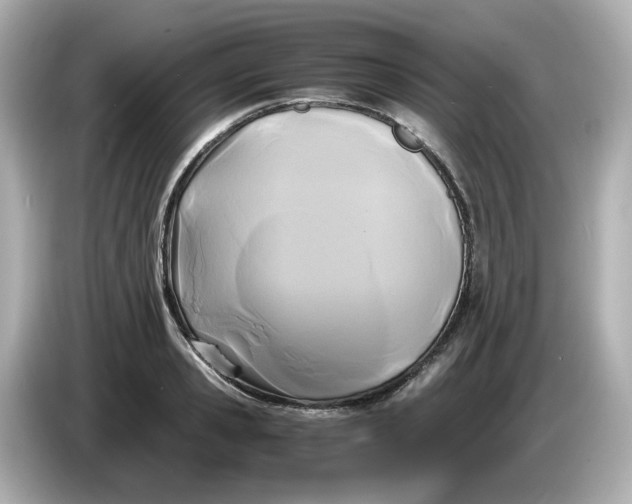 X0000086010941200704091053