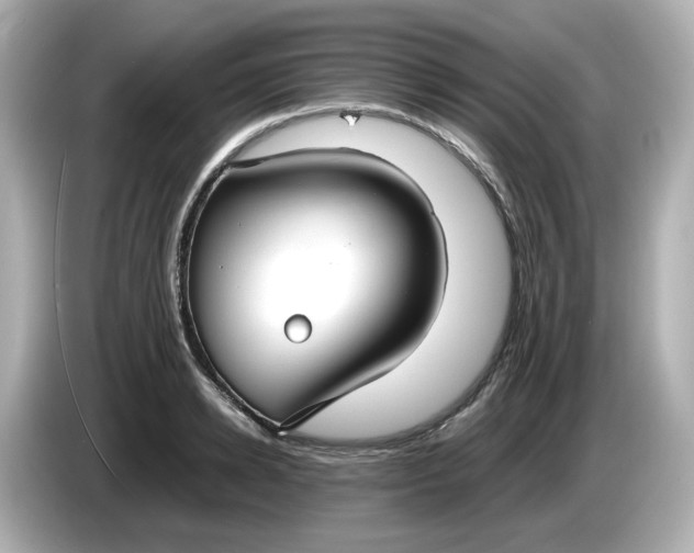 X0000086010942200704091053
