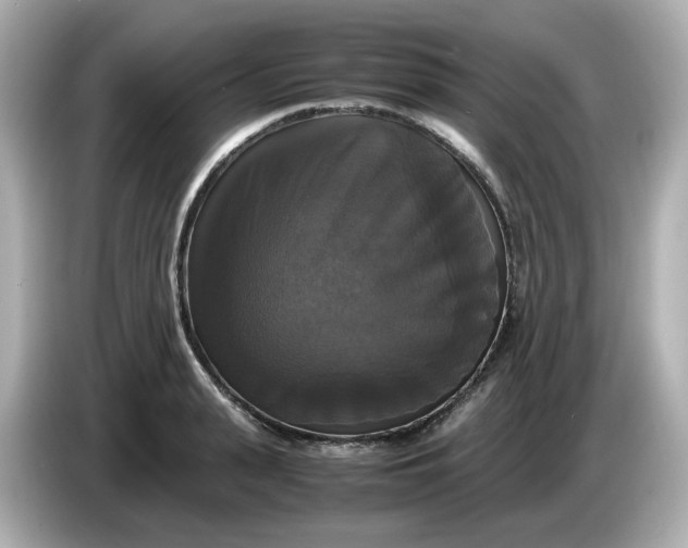 X0000086010943200704091053