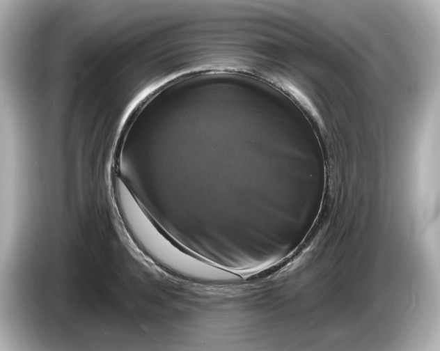 X0000086010944200704091053