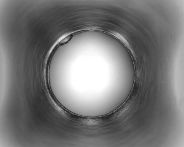 X0000086010947200704091053