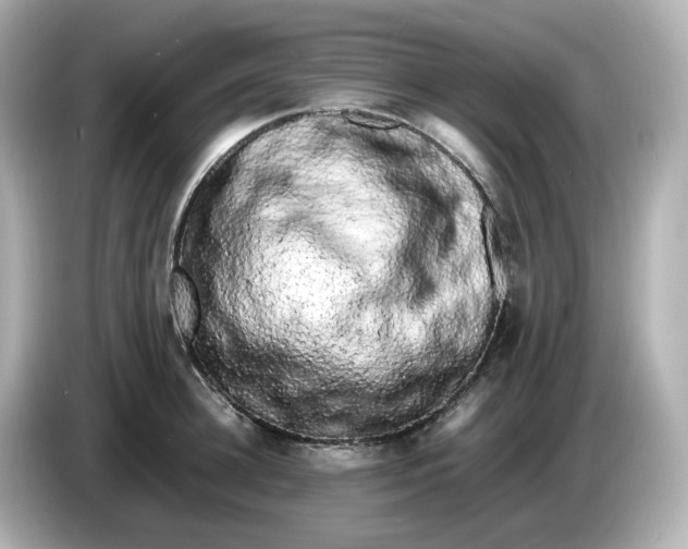 X0000086010948200704091053