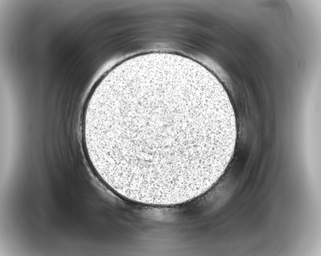 X0000086010950200704091053