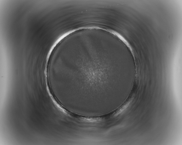 X0000086010951200704091053