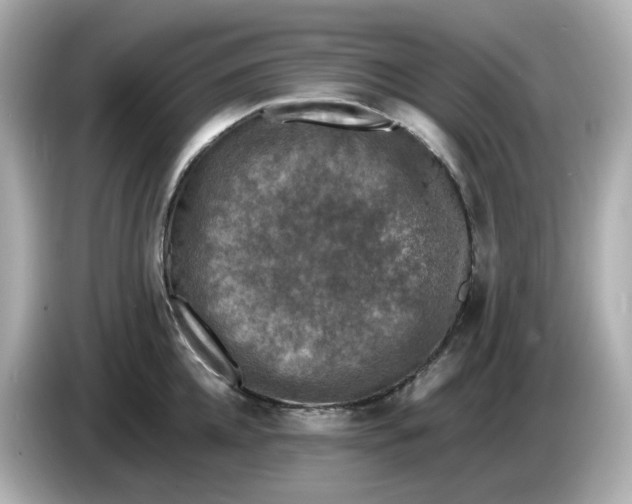 X0000086010952200704091053