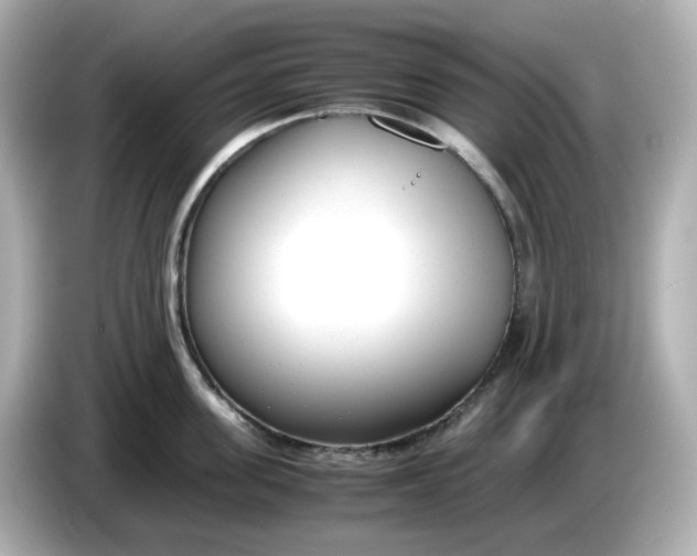 X0000086010955200704091053