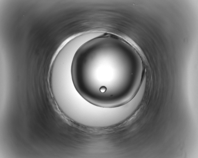 X0000086010956200704091053