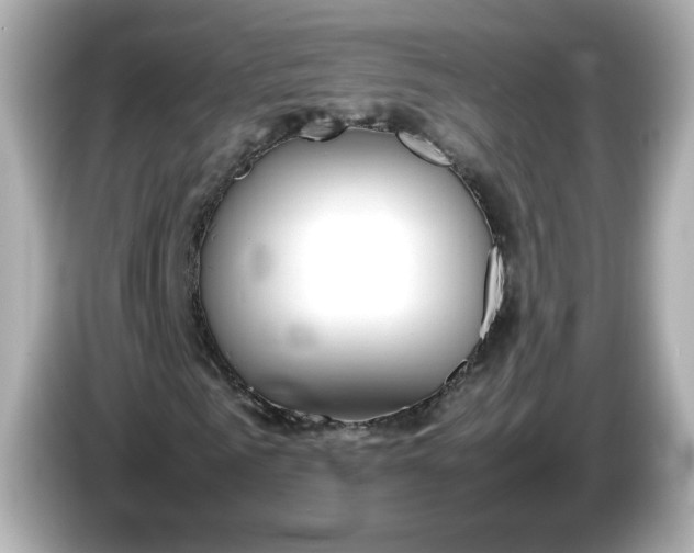 X0000086010961200704091053