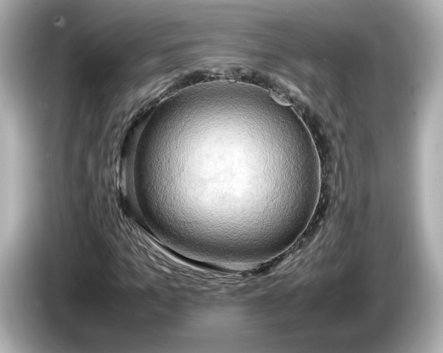 X0000086010965200704091052