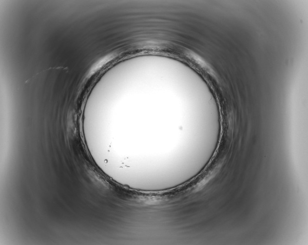 X0000086010970200704091052