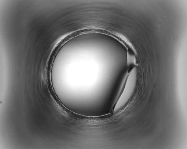 X0000086010972200704091052
